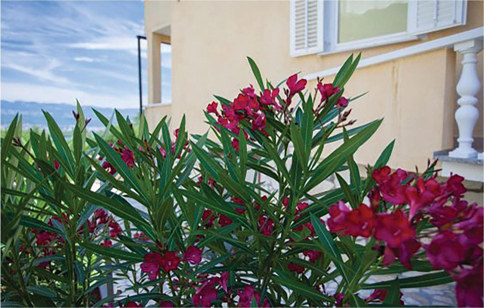 Amazing Apartment In Malinska With Kitchen エクステリア 写真
